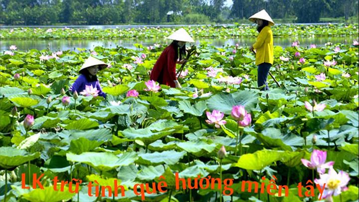 Chuyên gia Hotspot Matrix phân tích: 3 năm trước nghỉ việc ra đảo và marketing video