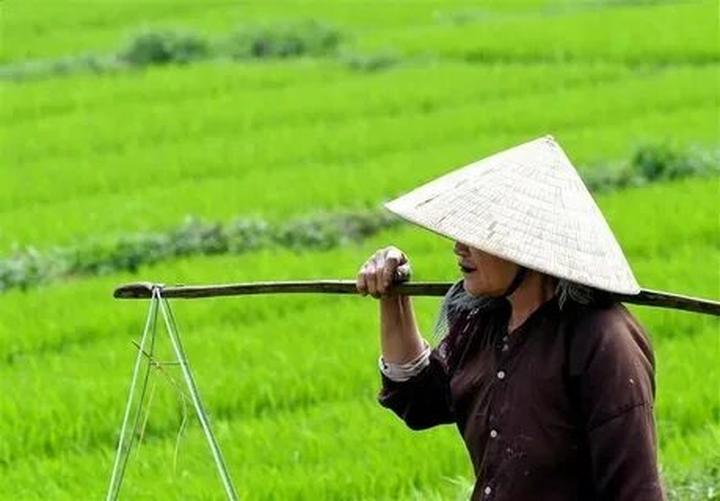 Victoria Beckham lên chức - Cảm hứng video marketing từ Hotspot Matrix
