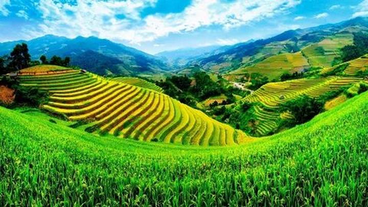 Kể Chuyện Lịch Sử: Từ Đam Mê Đến Triệu Lượt Xem Trên Hotspot Matrix